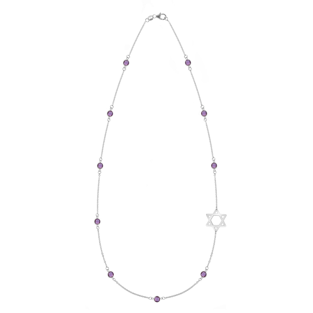 Bayberry Amethyst Star of David Necklace in 14k Gold (February)