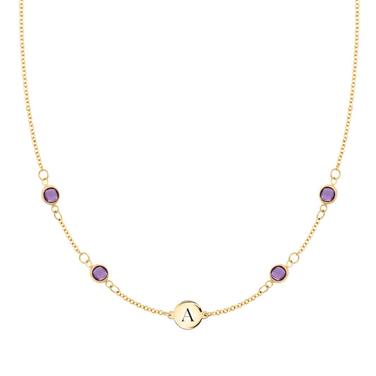 1 Letter & 4 Petite Amethyst Necklace in 14k Gold (February)