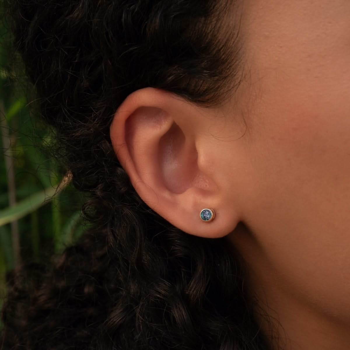 Barrington Alexandrite Stud Earrings in 14k Gold (June)