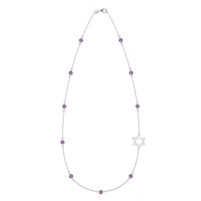 Bayberry Amethyst Star of David Necklace in 14k Gold (February)