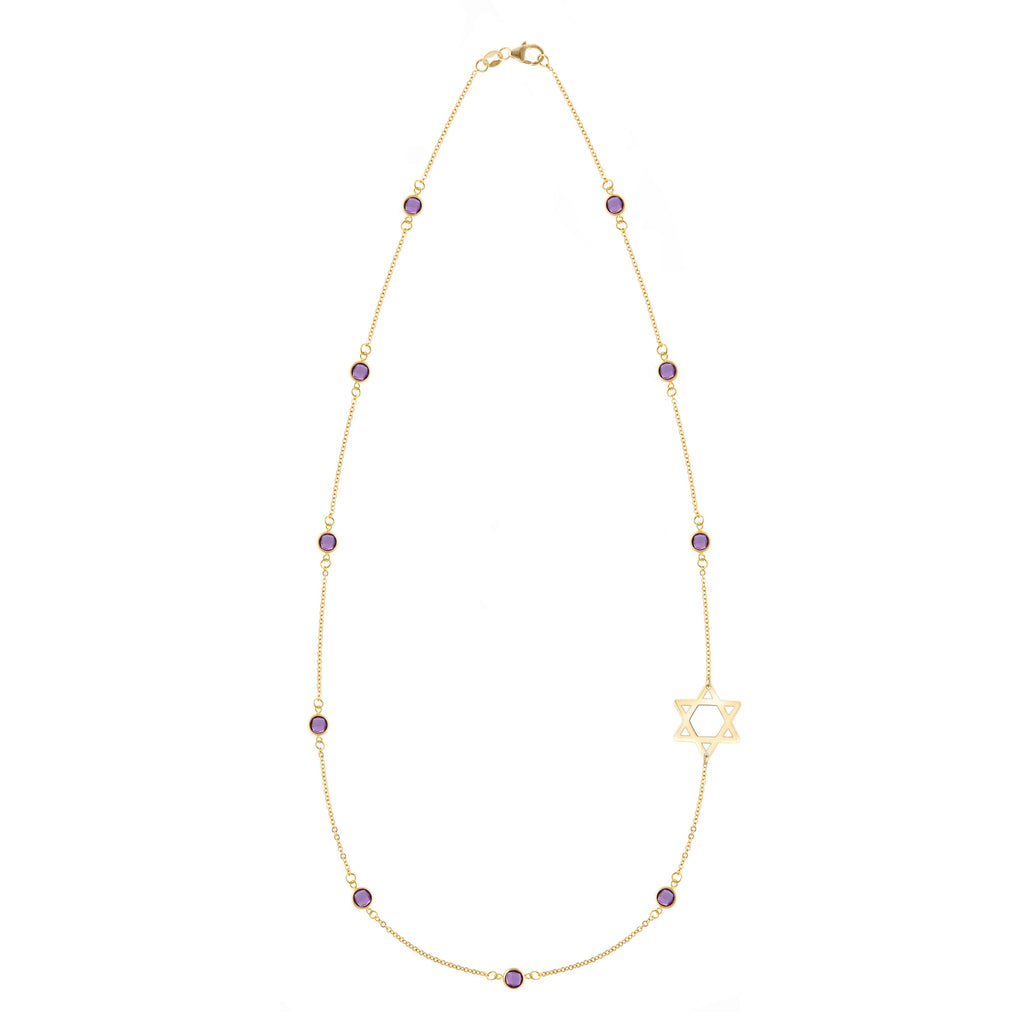 Bayberry Amethyst Star of David Necklace in 14k Gold (February)