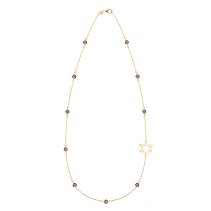 Bayberry Amethyst Star of David Necklace in 14k Gold (February)