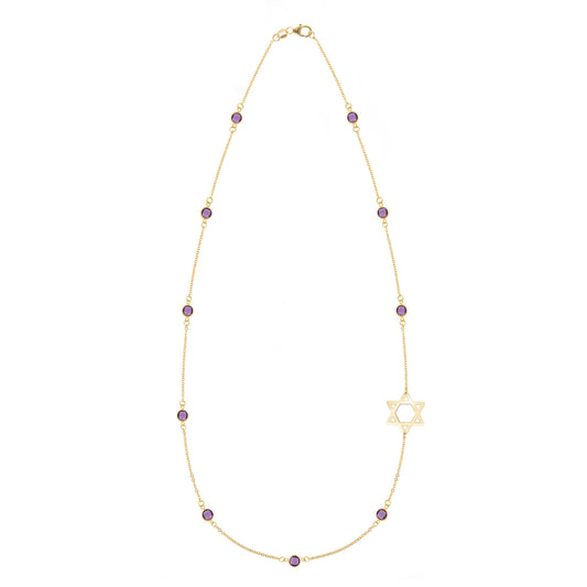 Bayberry Amethyst Star of David Necklace in 14k Gold (February)