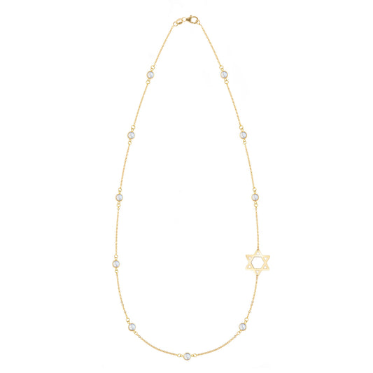 Bayberry Moonstone Star of David Necklace in 14k Gold (June)