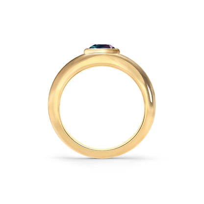 Jamestown Alexandrite Band Ring in 14k Gold (June)