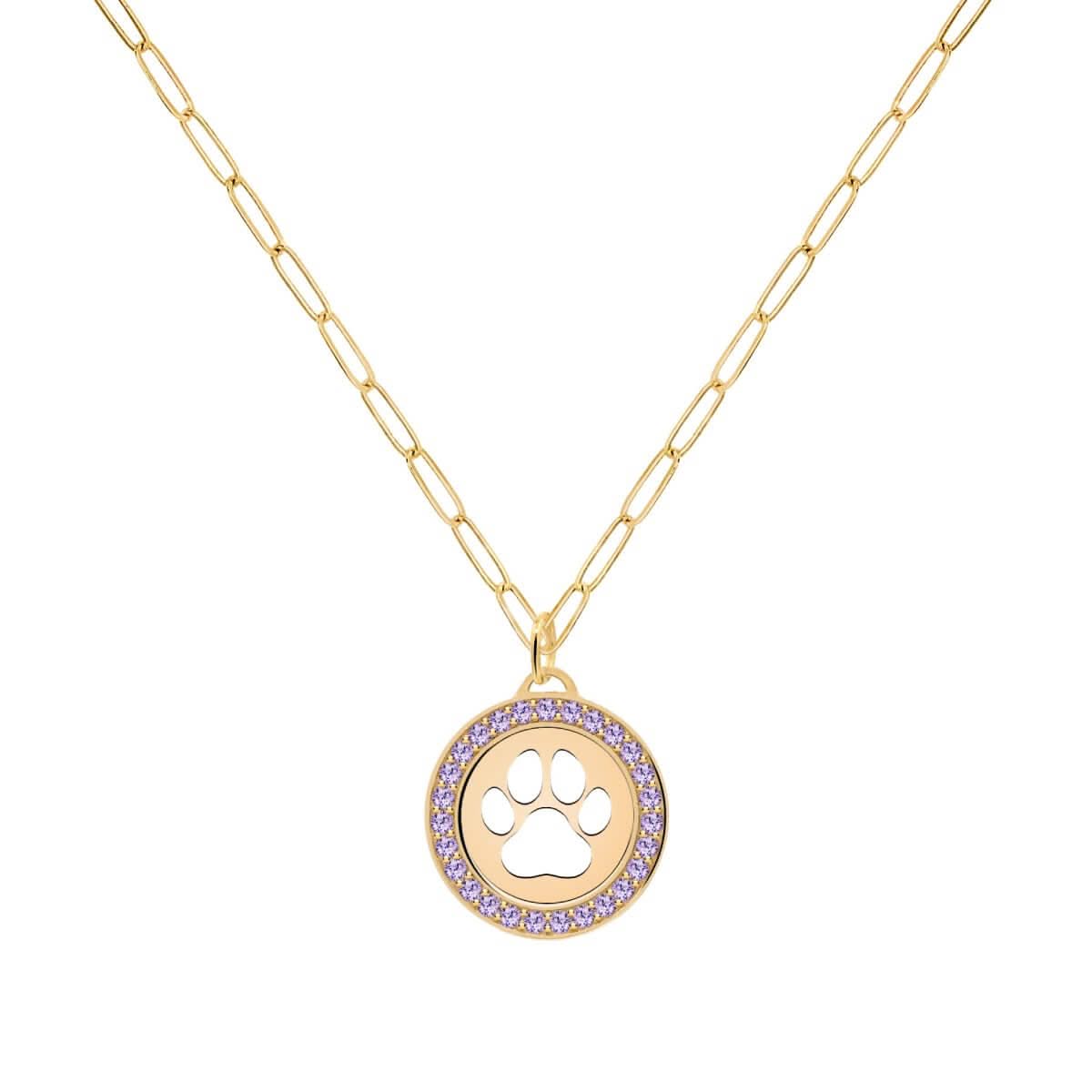 Paw & Amethyst Pendant in 14k Gold (February)