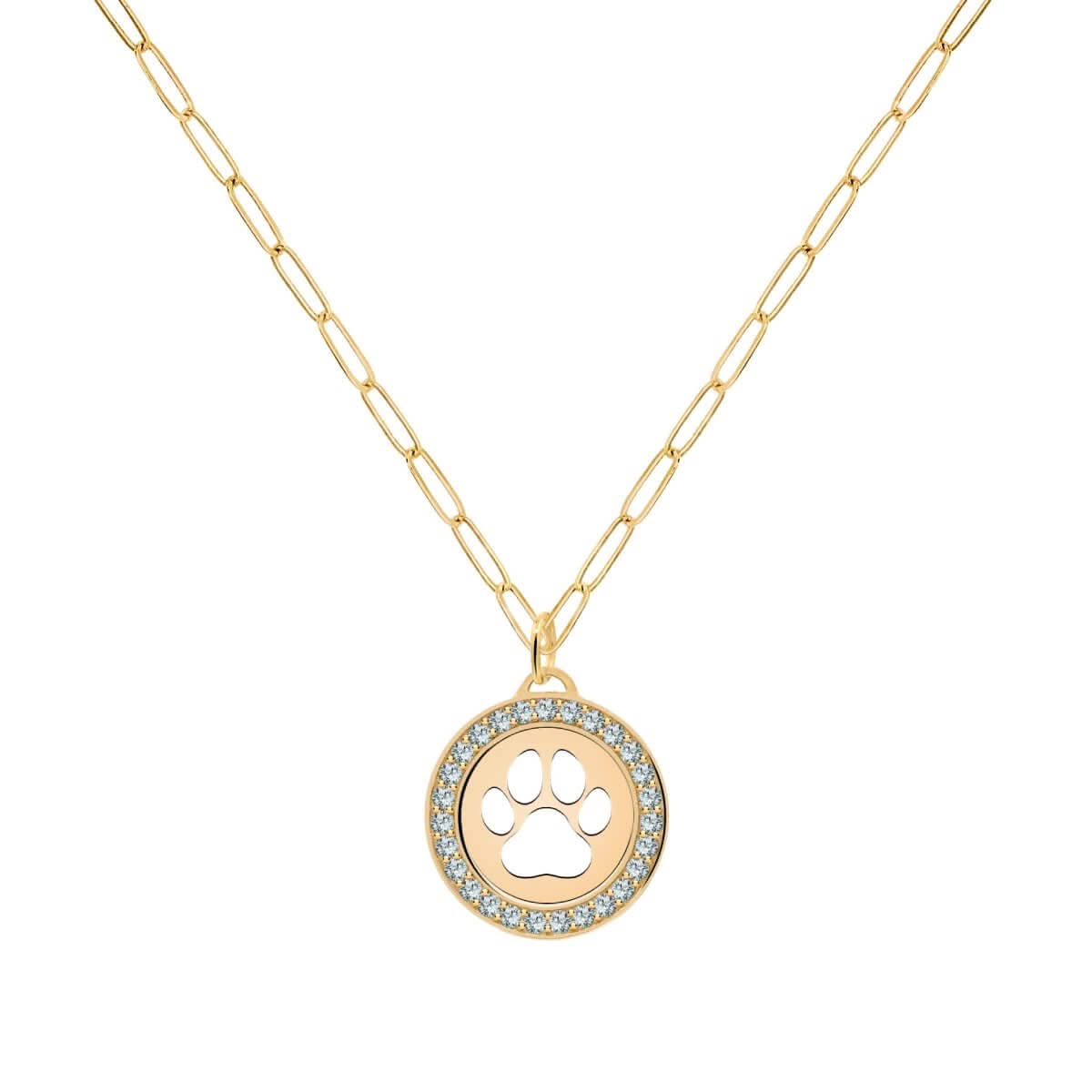 Paw & Alexandrite Pendant in 14k Gold (June)