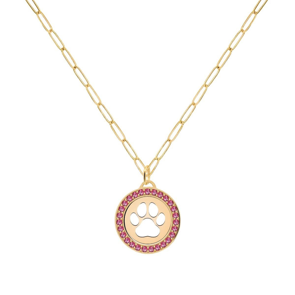 Paw & Ruby Pendant in 14k Gold (July)