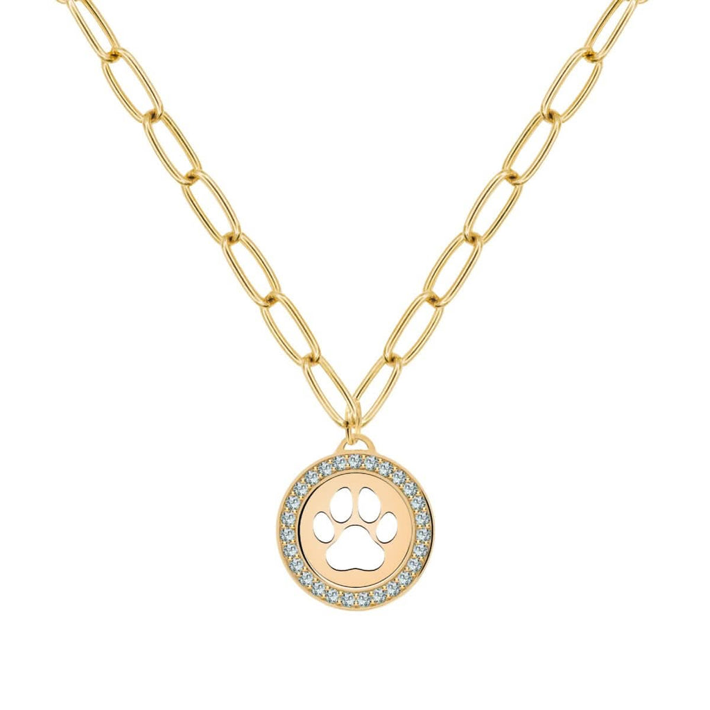 Paw & Alexandrite Pendant in 14k Gold (June)
