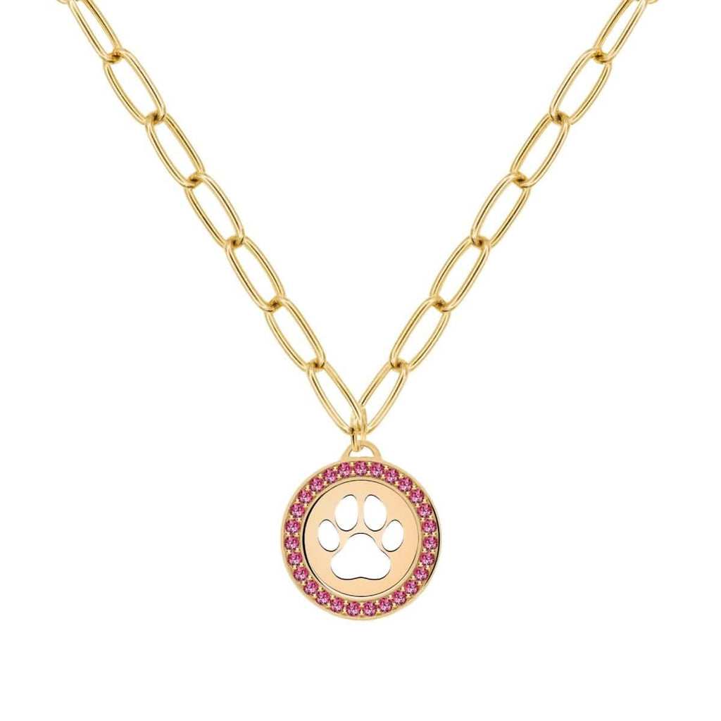 Paw & Ruby Pendant in 14k Gold (July)