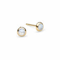 Petite Moonstone Stud Earrings in 14k Gold (June)