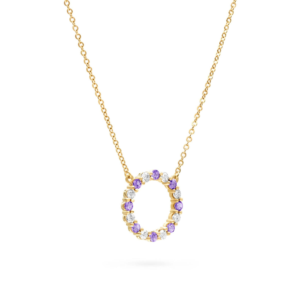 Rosecliff Circle Diamond & Amethyst Necklace in 14k Gold (February)