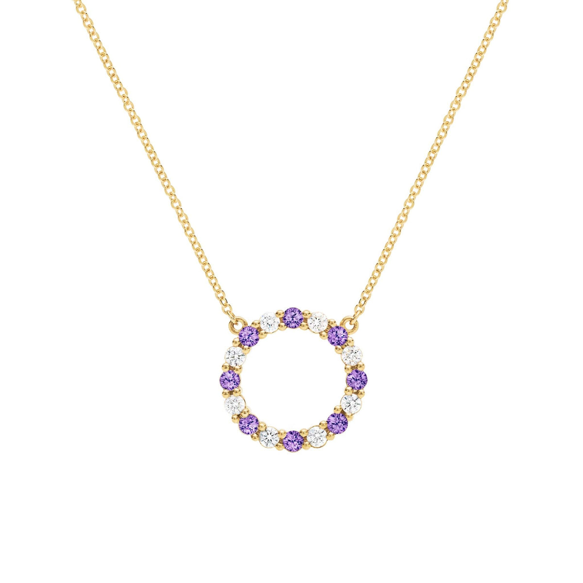 Rosecliff Circle Diamond & Amethyst Necklace in 14k Gold (February)