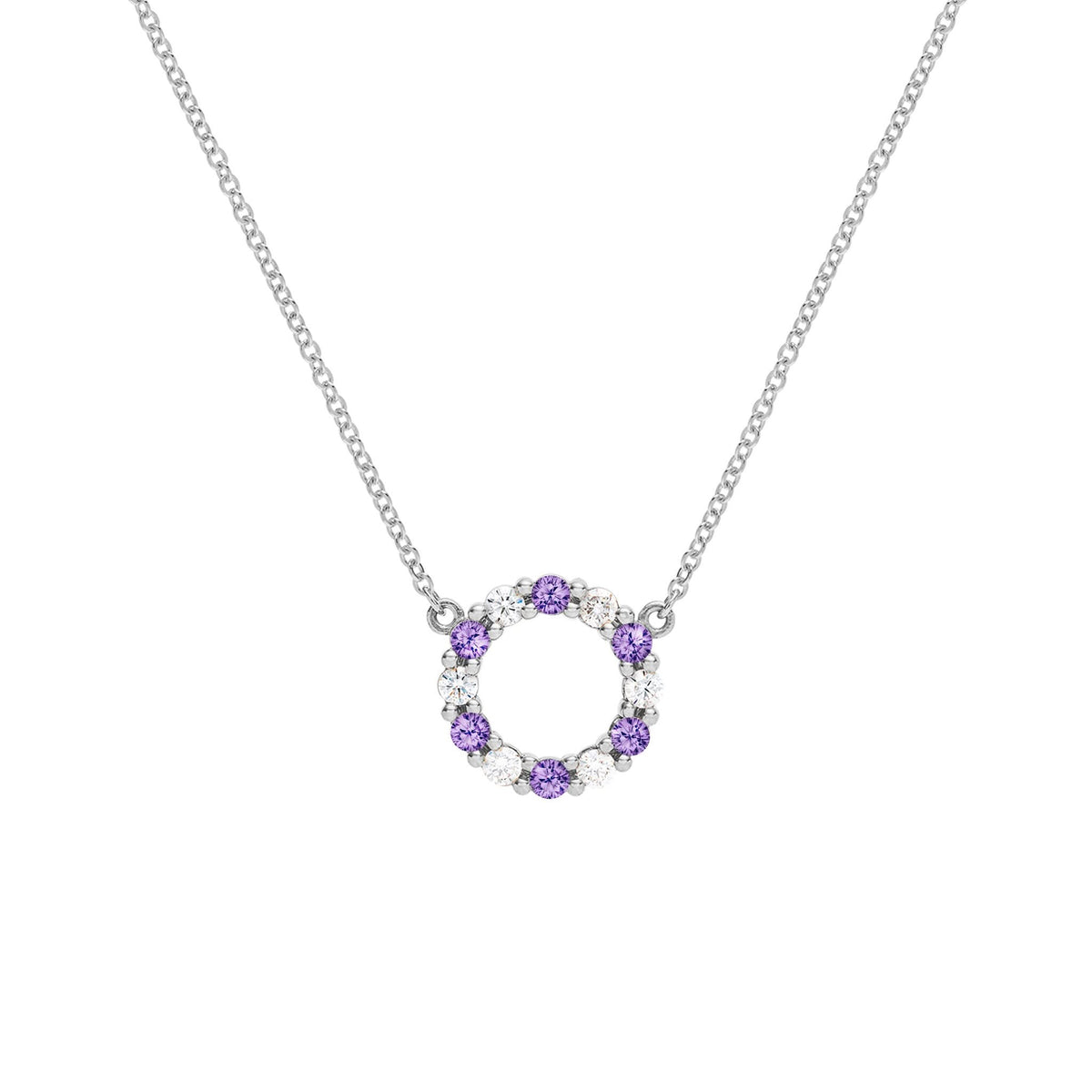 Rosecliff Small Circle Diamond & Amethyst Necklace in 14k Gold (February)