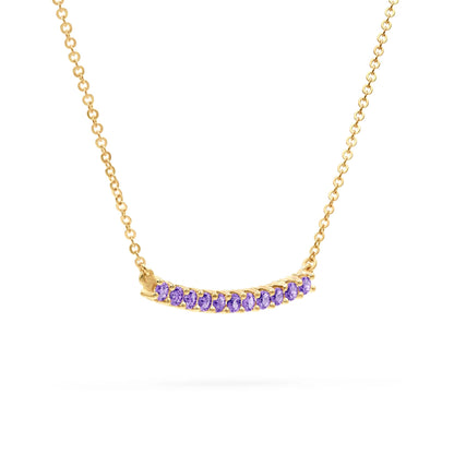 Rosecliff Amethyst Bar Necklace in 14k Gold (February)