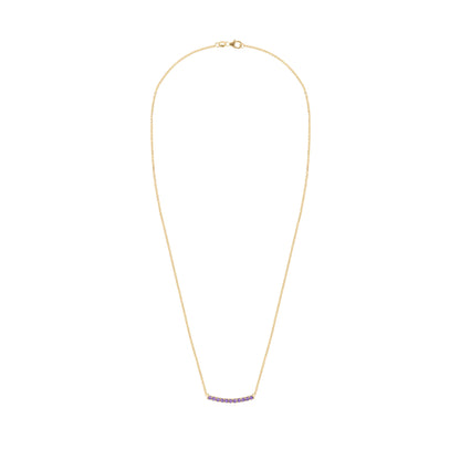 Rosecliff Amethyst Bar Necklace in 14k Gold (February)
