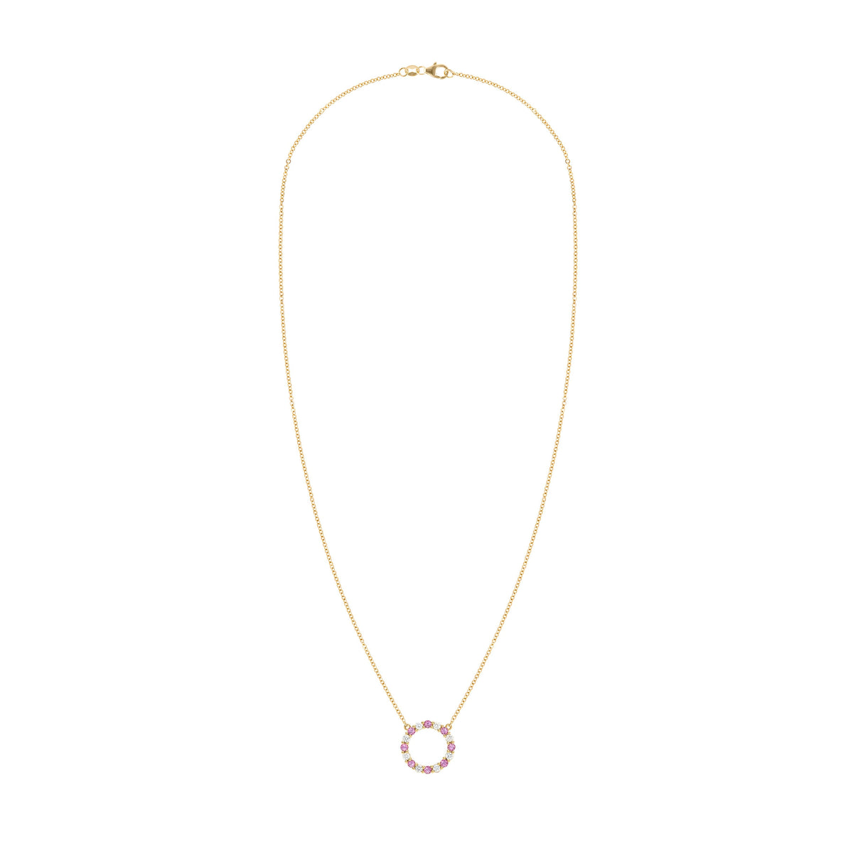 Rosecliff Circle Diamond & Pink Sapphire Necklace in 14k Gold (October)