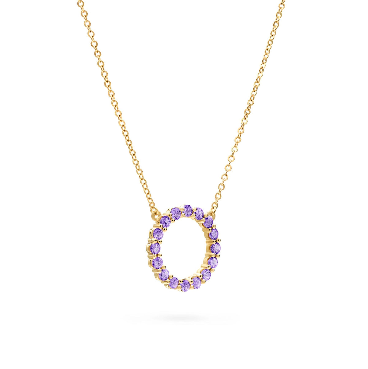 Rosecliff Circle Amethyst Necklace in 14k Gold (February)