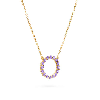 Rosecliff Circle Amethyst Necklace in 14k Gold (February)