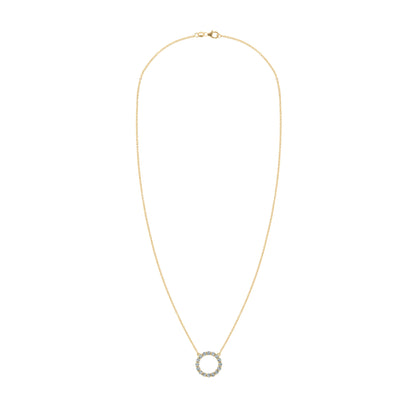 Rosecliff Circle Alexandrite Necklace in 14k Gold (June)