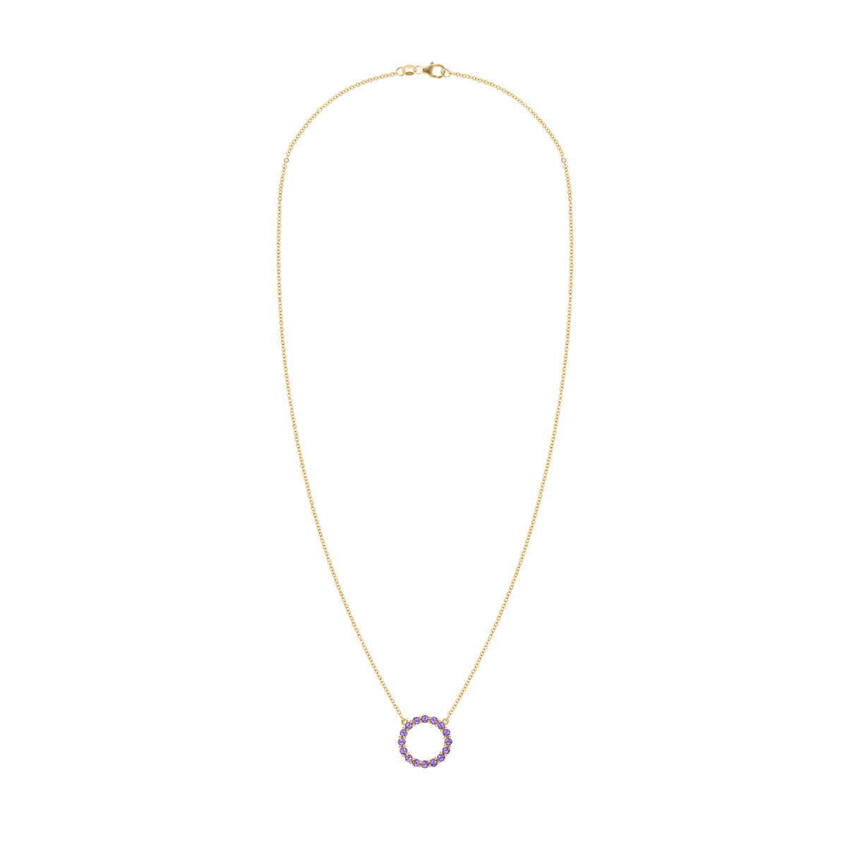 Rosecliff Circle Amethyst Necklace in 14k Gold (February)