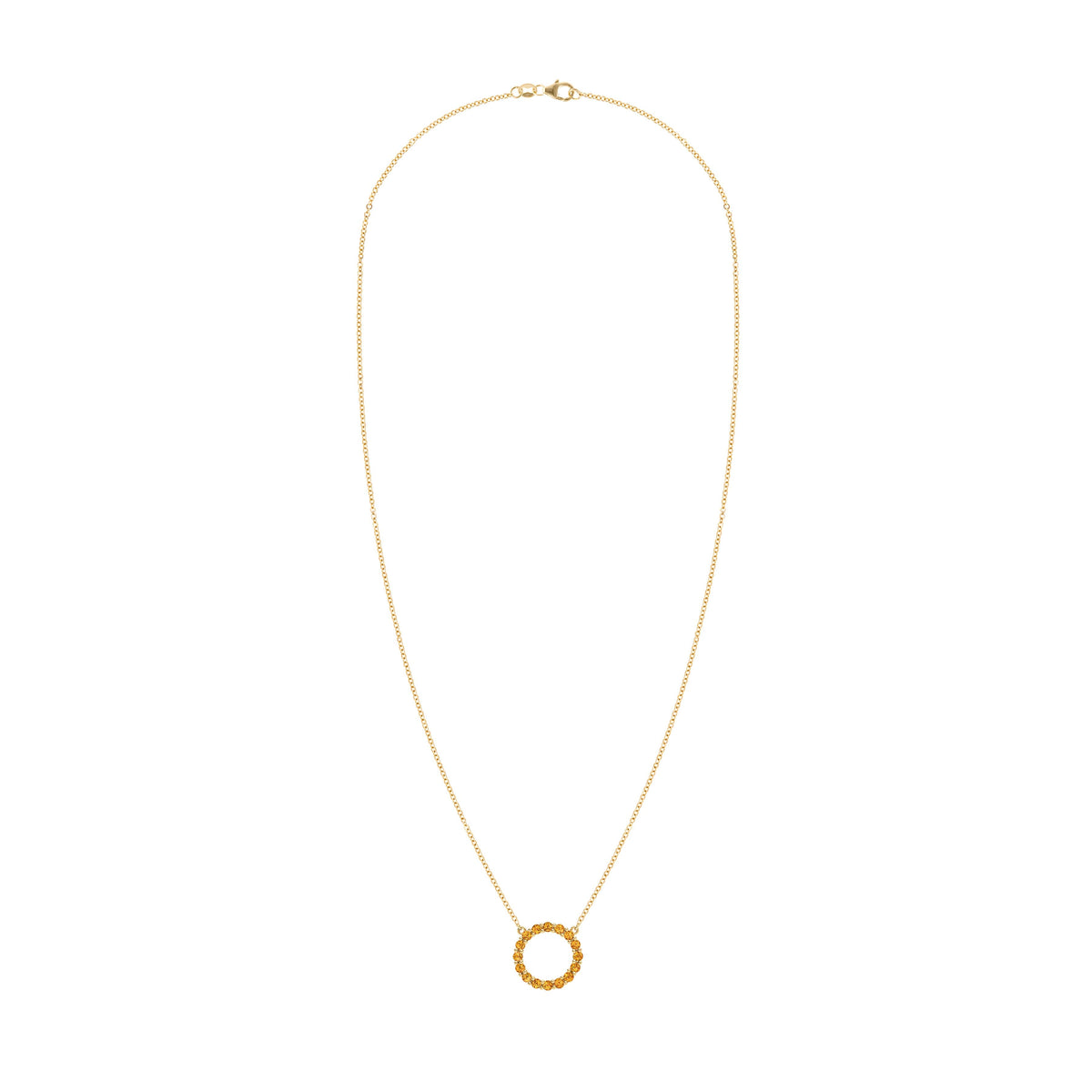 Rosecliff Circle Citrine Necklace in 14k Gold (November)