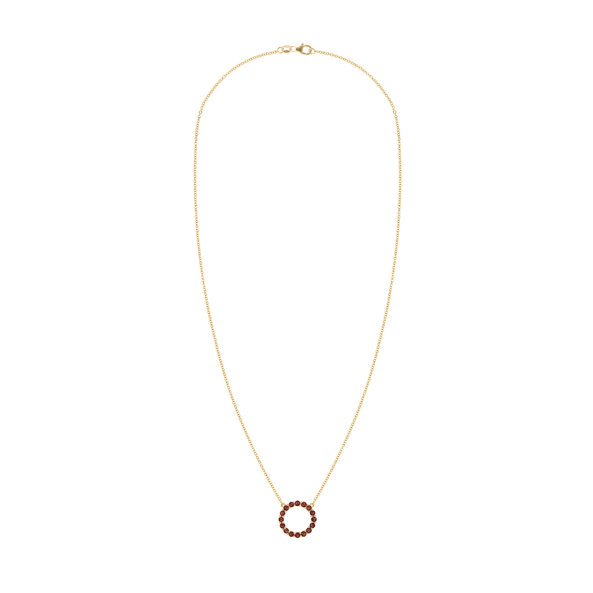 Rosecliff Circle Garnet Necklace in 14k Gold (January)