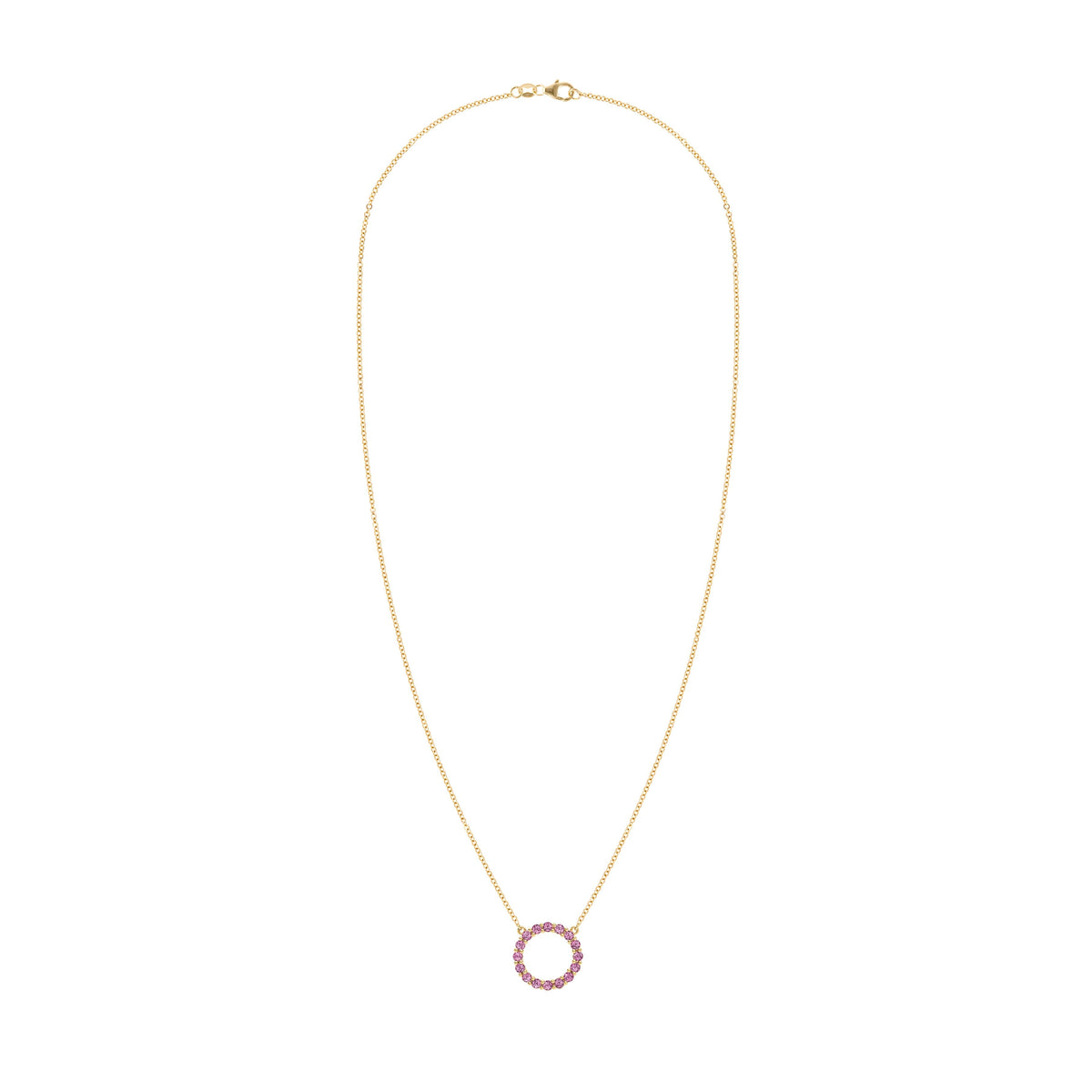 Rosecliff Circle Pink Sapphire Necklace in 14k Gold (October)