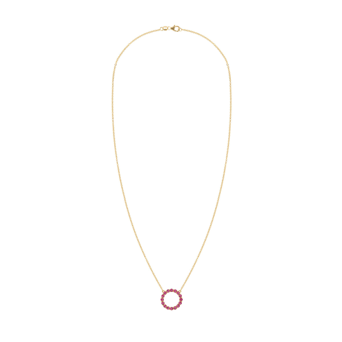 Rosecliff Circle Ruby Necklace in 14k Gold (July)