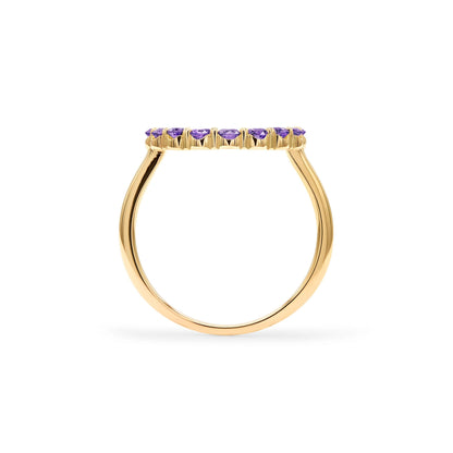 Rosecliff Circle Amethyst Ring in 14k Gold (February)