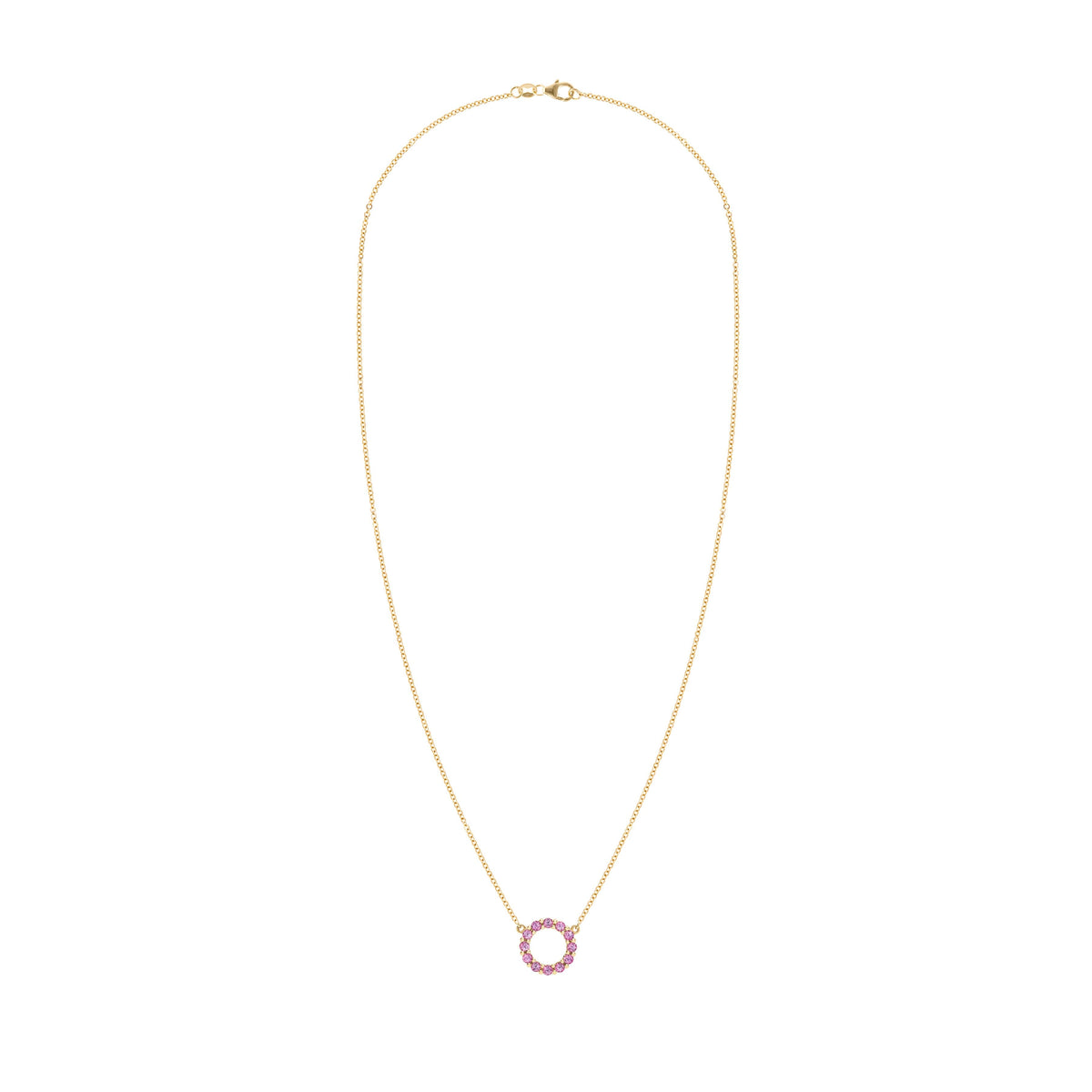 Rosecliff Small Circle Pink Sapphire Necklace in 14k Gold (October)
