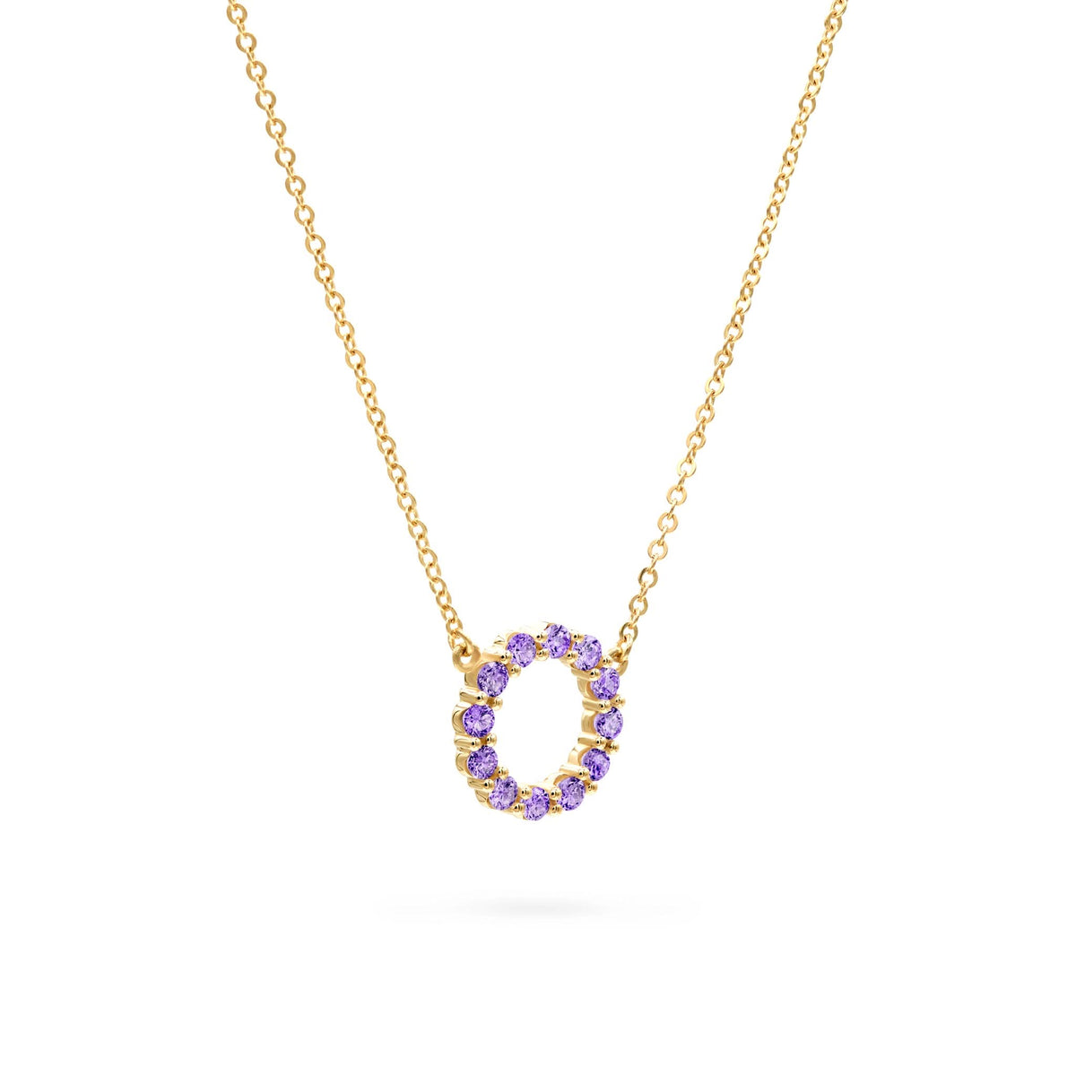 Rosecliff Small Circle Amethyst Necklace in 14k Gold (February)