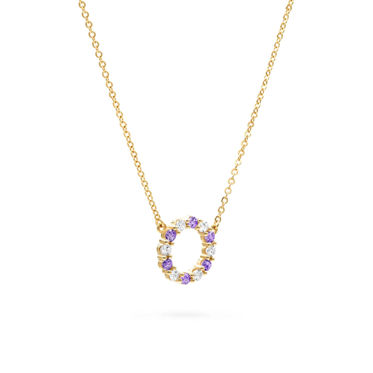 Rosecliff Small Circle Diamond & Amethyst Necklace in 14k Gold (February)
