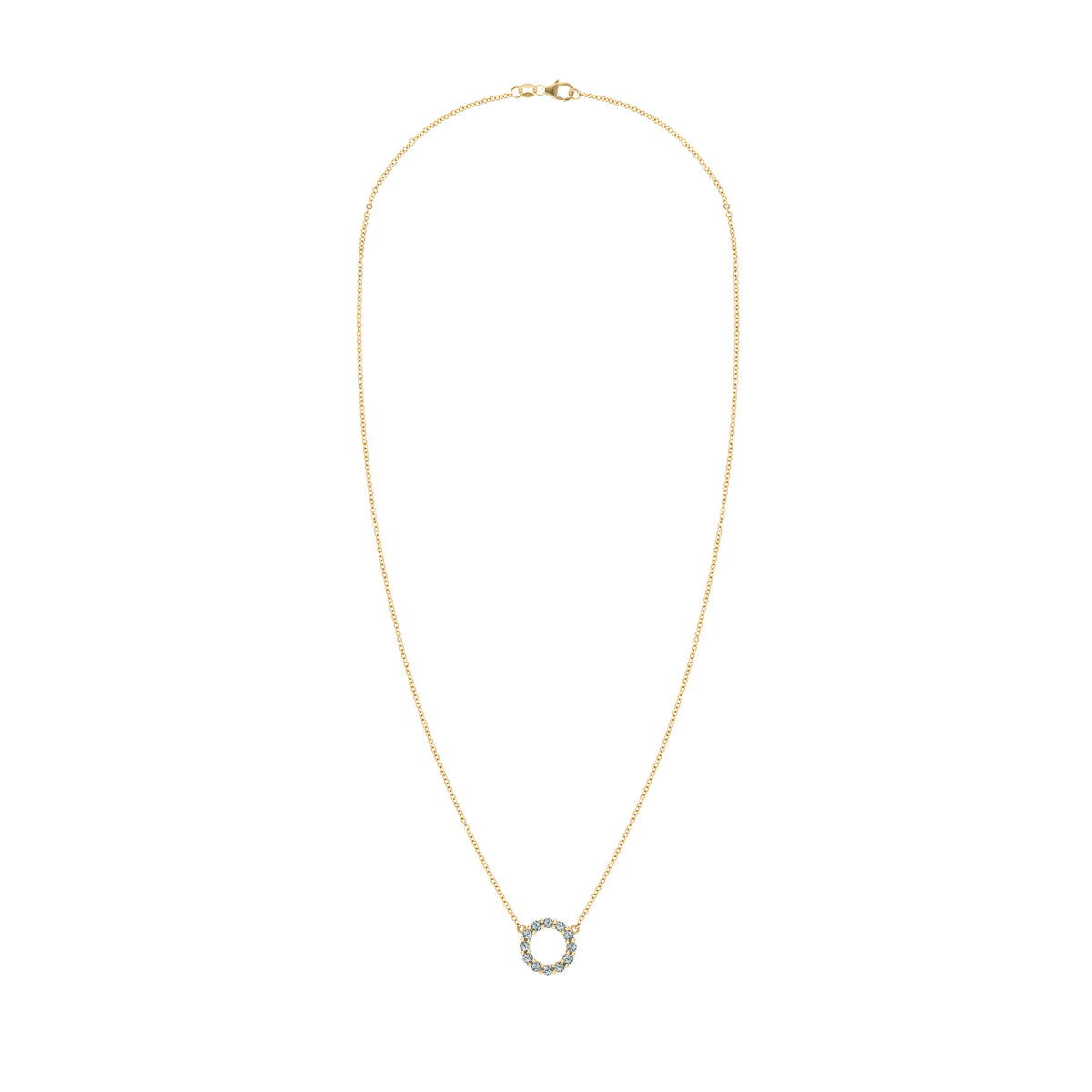 Rosecliff Small Circle Alexandrite Necklace in 14k Gold (June)