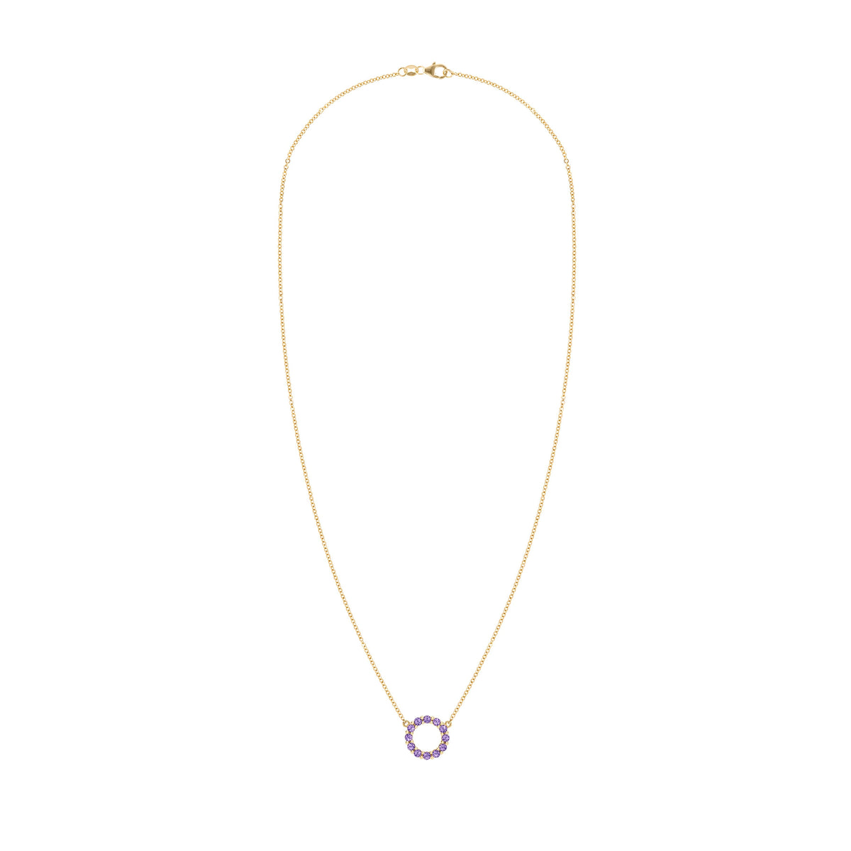 Rosecliff Small Circle Amethyst Necklace in 14k Gold (February)