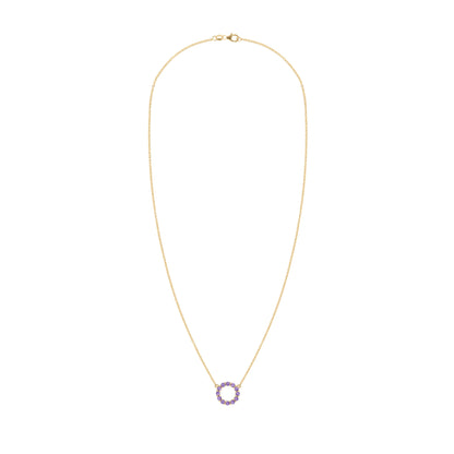 Rosecliff Small Circle Amethyst Necklace in 14k Gold (February)