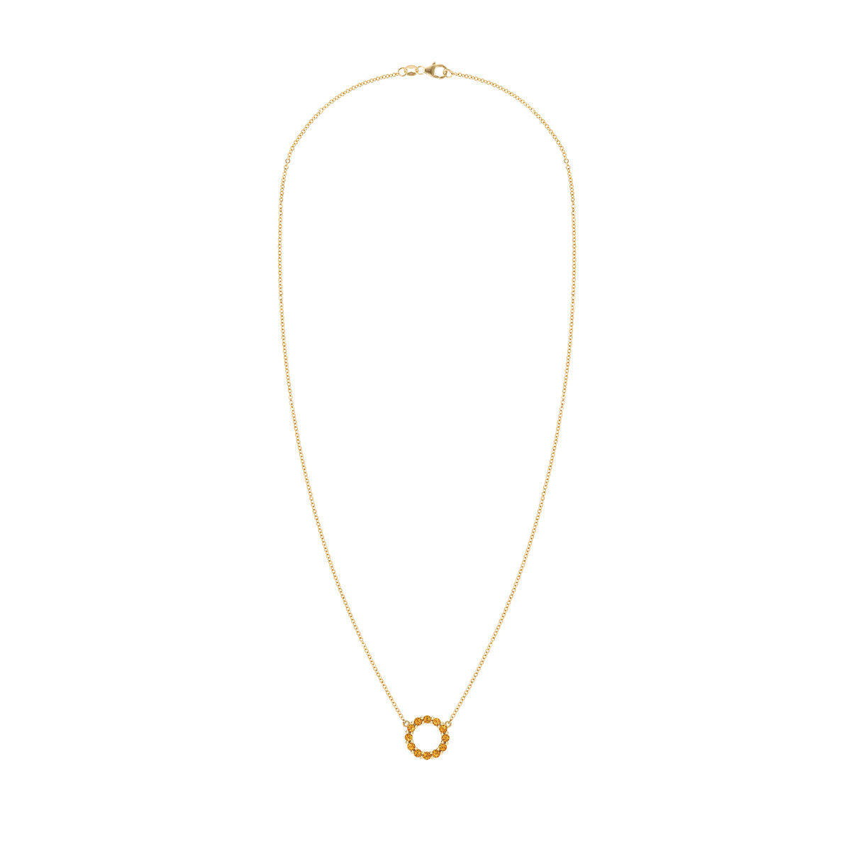 Rosecliff Small Circle Citrine Necklace in 14k Gold (November)