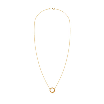 Rosecliff Small Circle Citrine Necklace in 14k Gold (November)