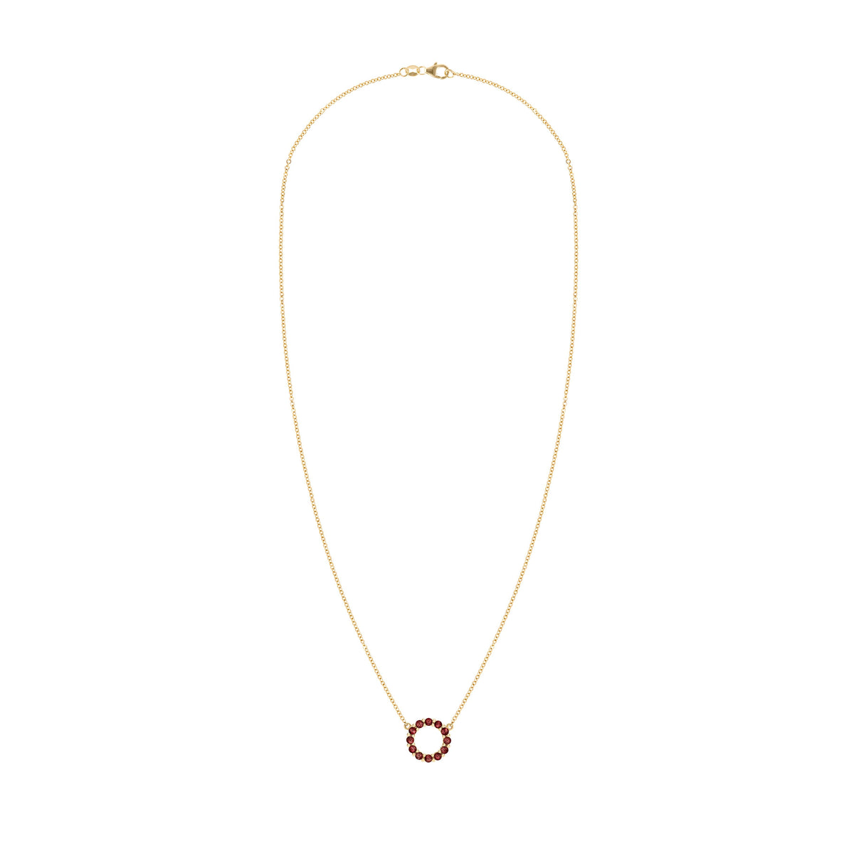Rosecliff Small Circle Garnet Necklace in 14k Gold (January)