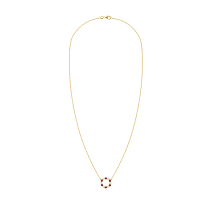 Rosecliff Small Circle Diamond & Garnet Necklace in 14k Gold (January)
