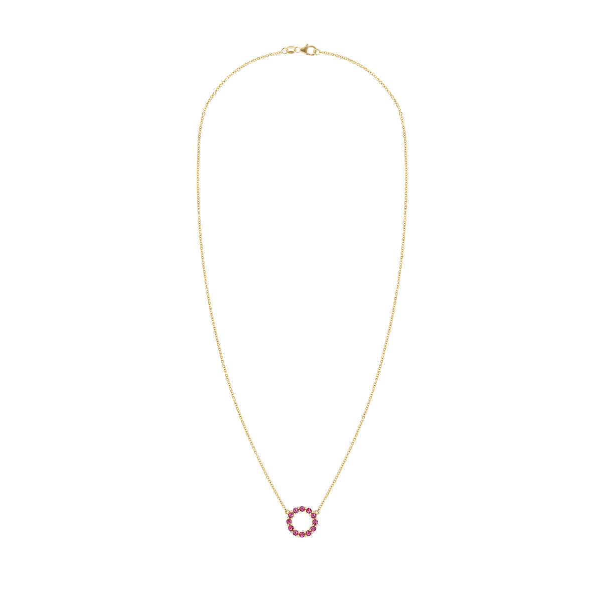 Rosecliff Small Circle Ruby Necklace in 14k Gold (July)