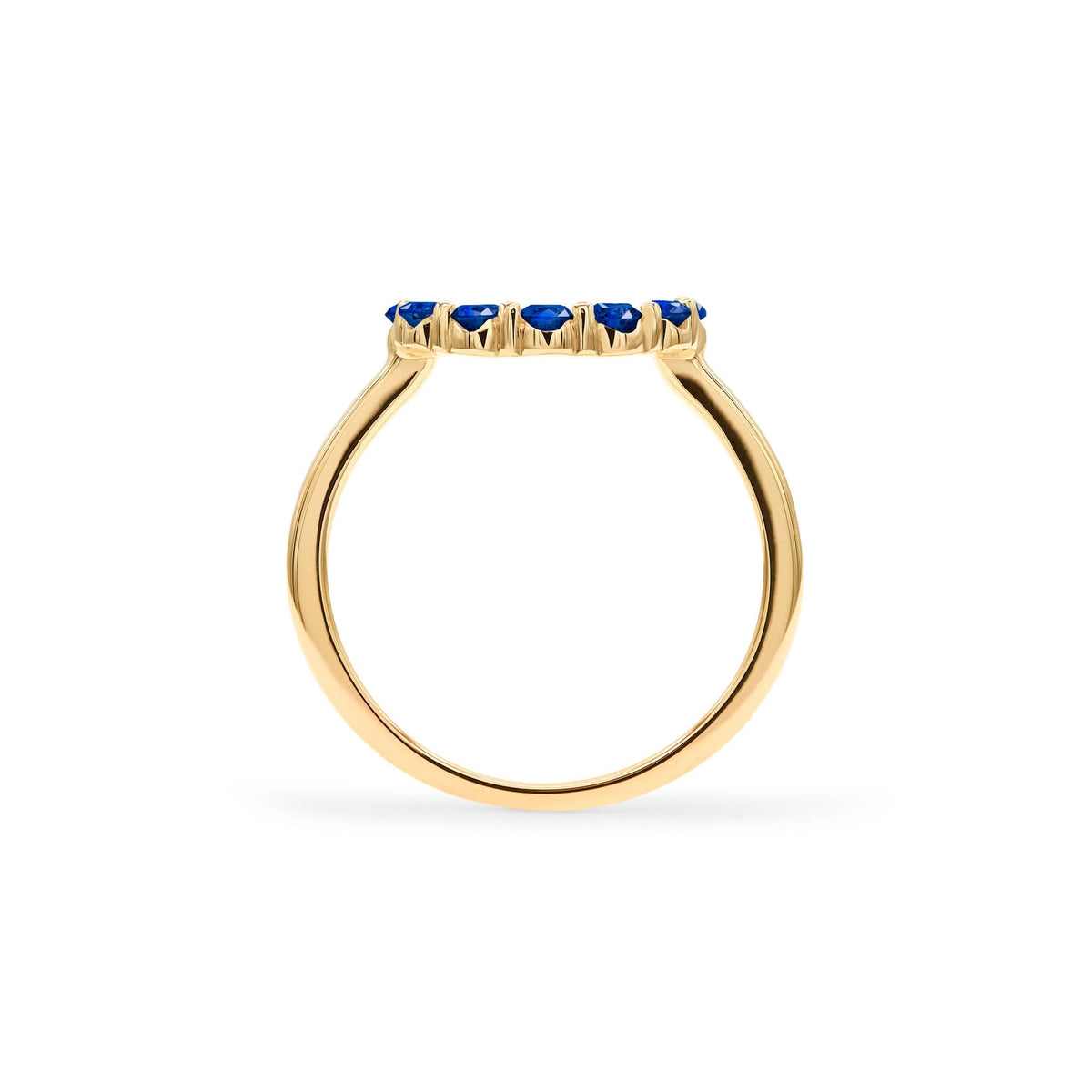 Rosecliff Small Circle Sapphire Ring in 14k Gold (September)