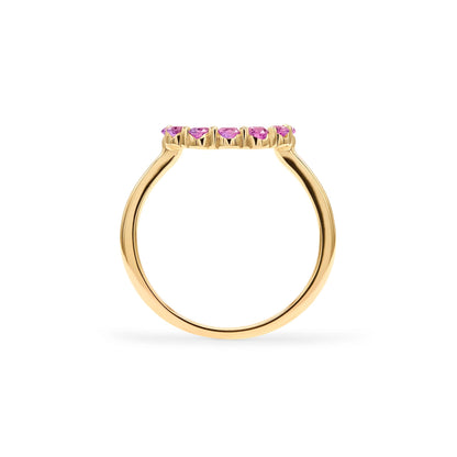 Rosecliff Small Circle Pink Sapphire Ring in 14k Gold (October)