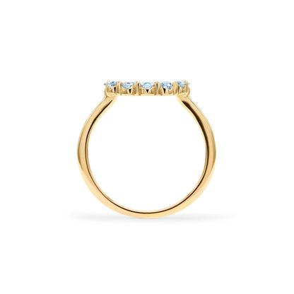 Rosecliff Small Circle Nantucket Blue Topaz Ring in 14k Gold (December)