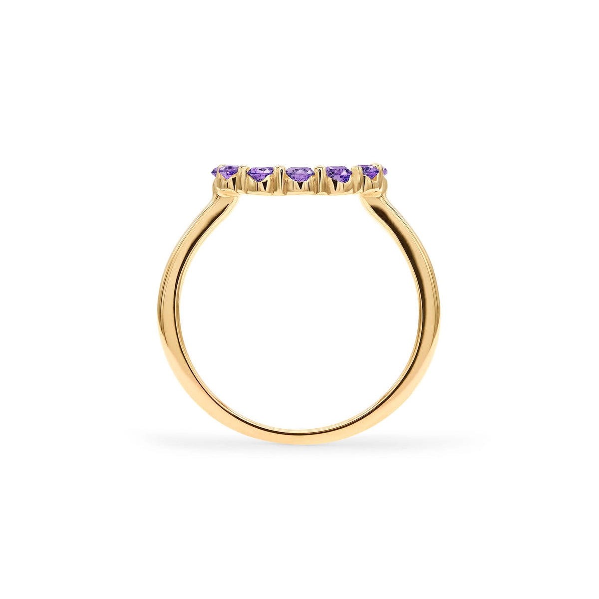 Rosecliff Small Circle Amethyst Ring in 14k Gold (February)