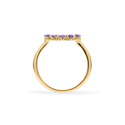 Rosecliff Small Circle Amethyst Ring in 14k Gold (February)