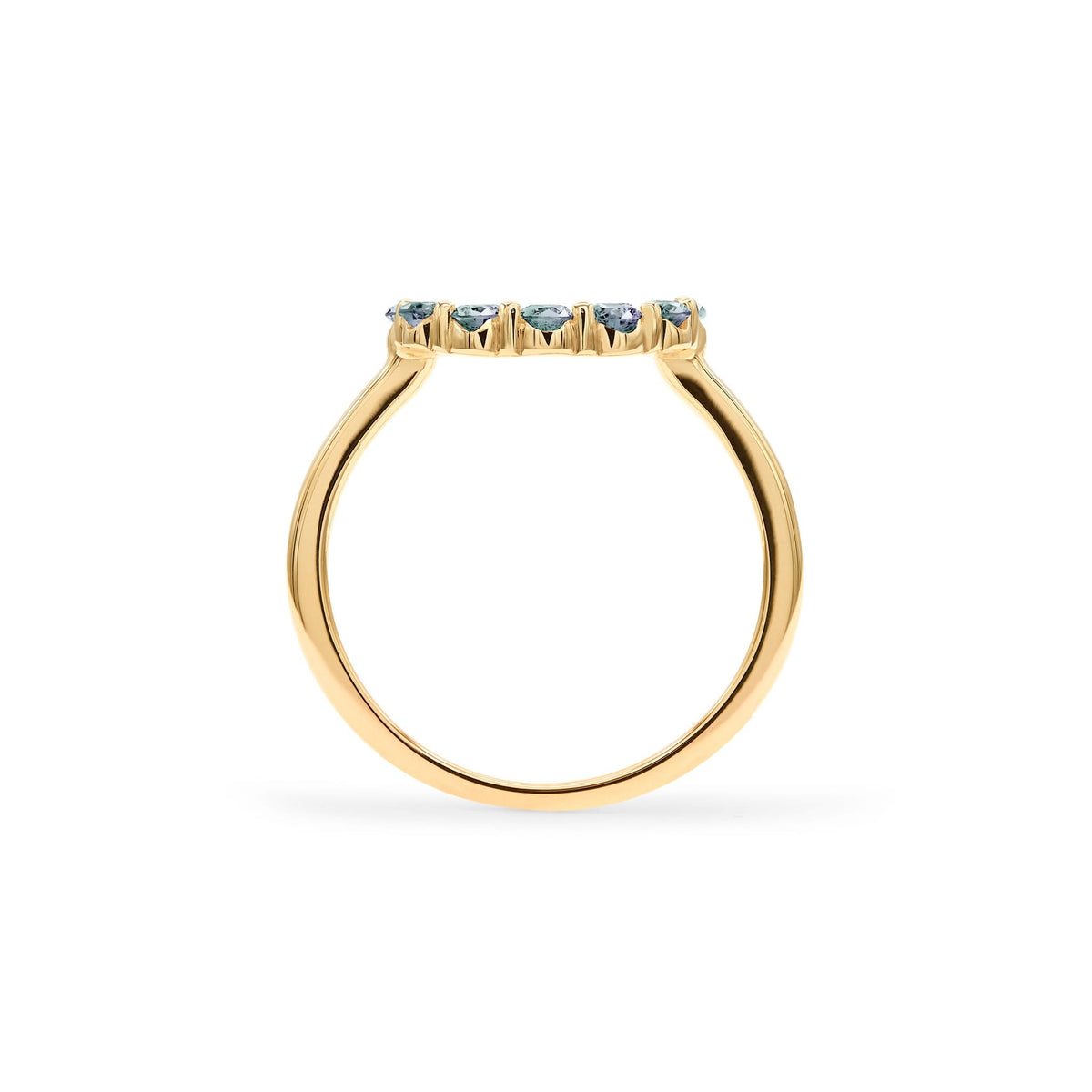 Rosecliff Small Circle Alexandrite Ring in 14k Gold (June)