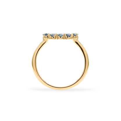 Rosecliff Small Circle Alexandrite Ring in 14k Gold (June)