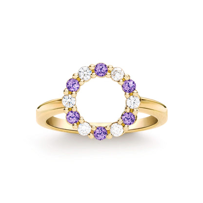 Rosecliff Small Circle Diamond & Amethyst Ring in 14k Gold (February)