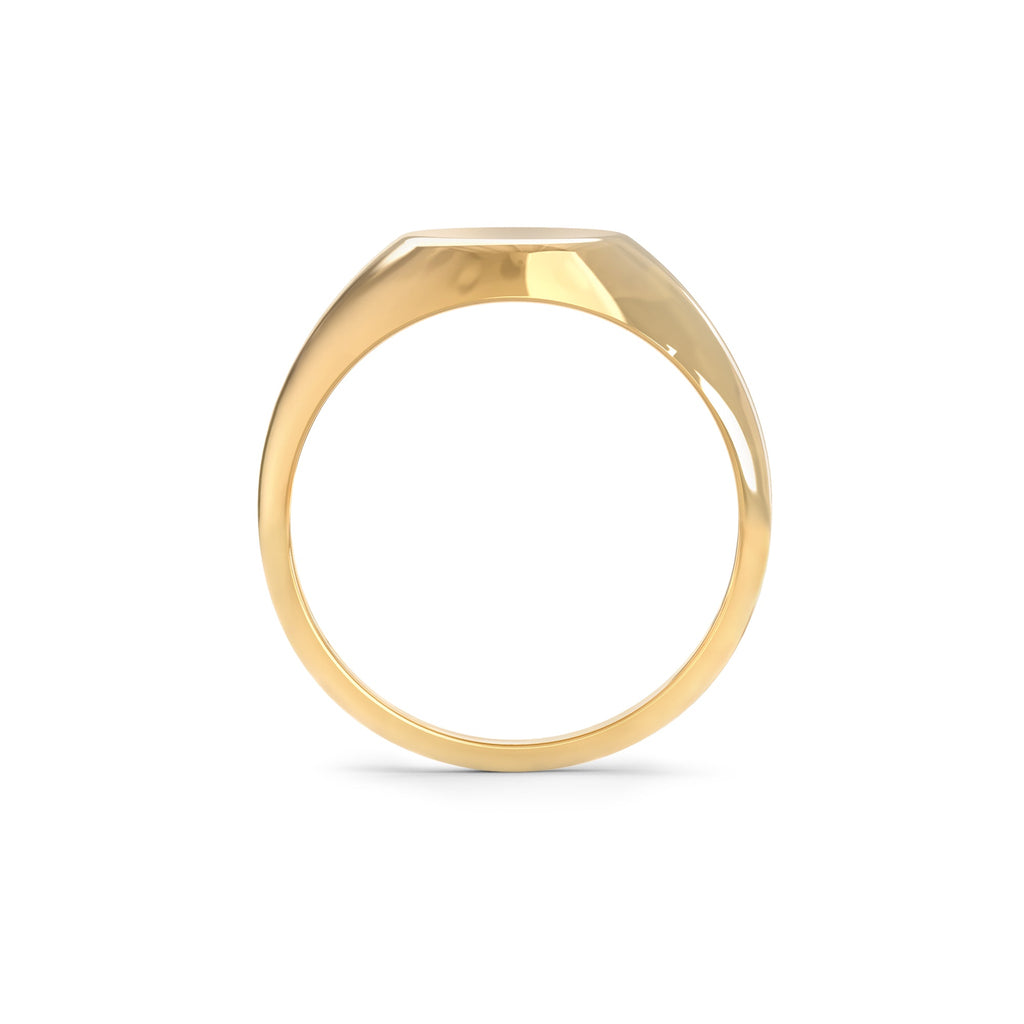 Signet Letter Ring in 14k Gold